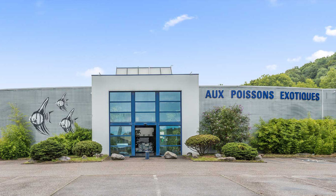 AuxPoissonsExotiques