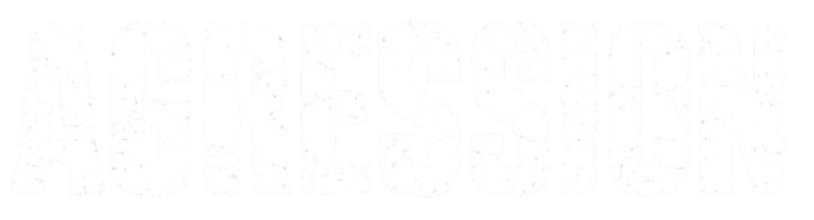 Agression détruit